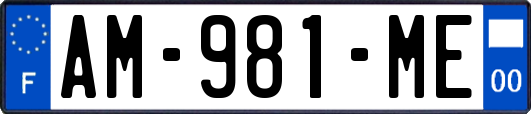 AM-981-ME
