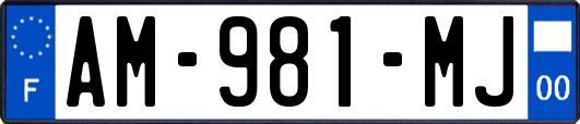 AM-981-MJ