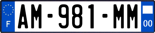 AM-981-MM