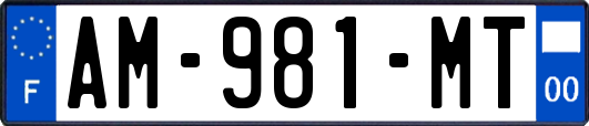 AM-981-MT