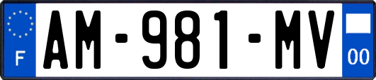 AM-981-MV
