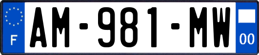 AM-981-MW