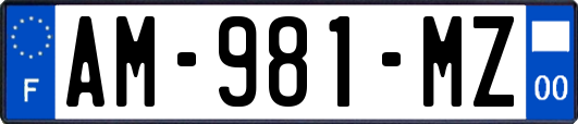 AM-981-MZ