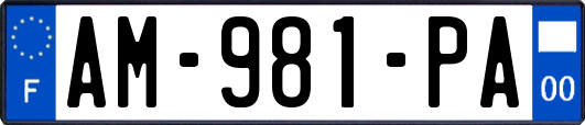 AM-981-PA