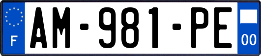 AM-981-PE