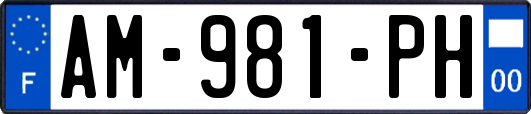 AM-981-PH