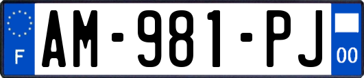 AM-981-PJ