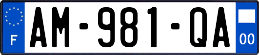 AM-981-QA