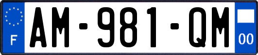 AM-981-QM