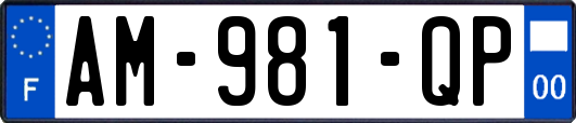 AM-981-QP