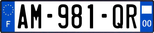 AM-981-QR