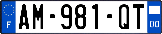 AM-981-QT