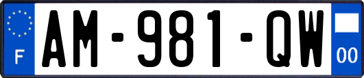 AM-981-QW