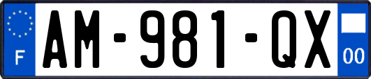 AM-981-QX