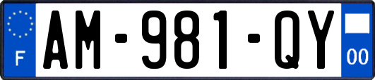 AM-981-QY