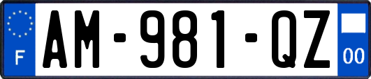 AM-981-QZ