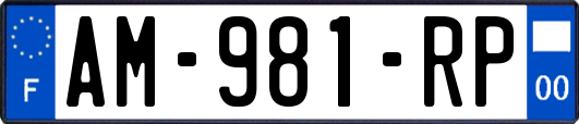 AM-981-RP