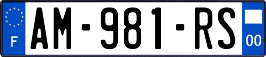 AM-981-RS
