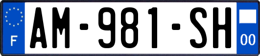 AM-981-SH