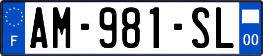 AM-981-SL