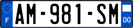 AM-981-SM