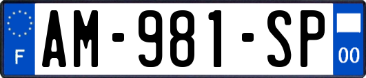 AM-981-SP