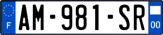 AM-981-SR