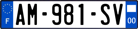 AM-981-SV