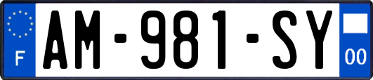 AM-981-SY