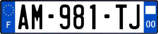 AM-981-TJ