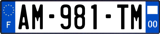 AM-981-TM