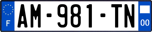 AM-981-TN