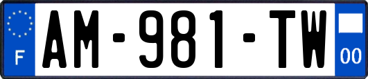 AM-981-TW