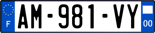 AM-981-VY