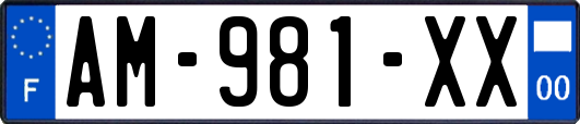 AM-981-XX