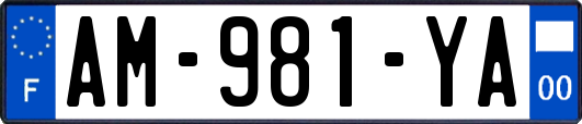 AM-981-YA