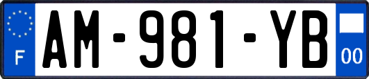 AM-981-YB