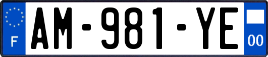 AM-981-YE