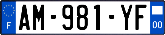 AM-981-YF