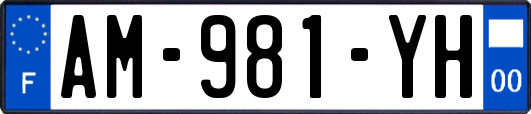 AM-981-YH