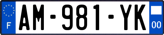 AM-981-YK