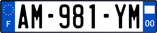 AM-981-YM