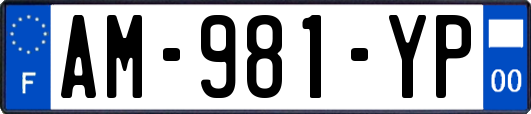 AM-981-YP