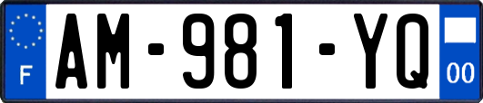 AM-981-YQ