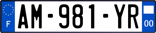 AM-981-YR