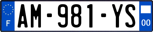AM-981-YS