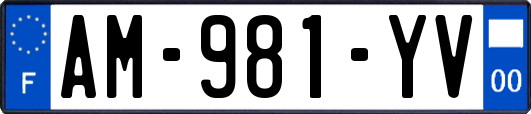 AM-981-YV