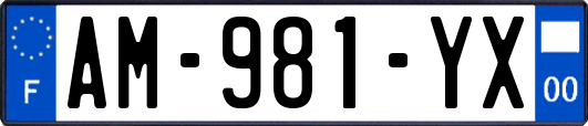 AM-981-YX