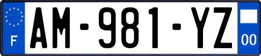 AM-981-YZ