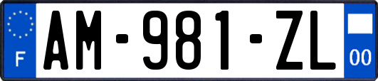 AM-981-ZL